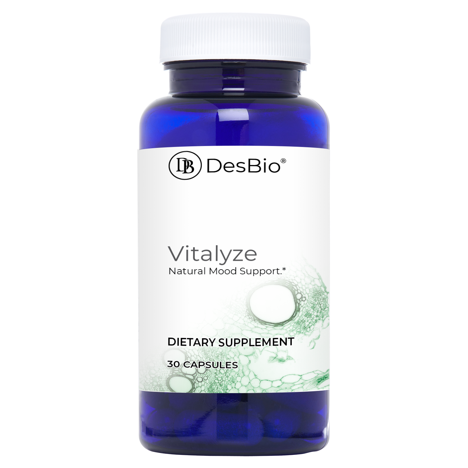 Vitalyze - DBscript