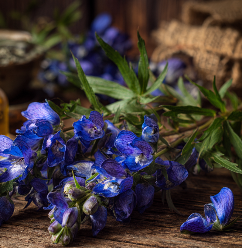 Aconitum, Argentum Nitricum