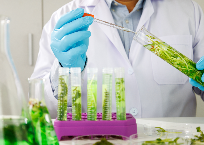 Scientist working with test tubes containing green liquid in a laboratory