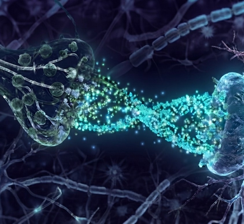 Neurotransmitters illustration